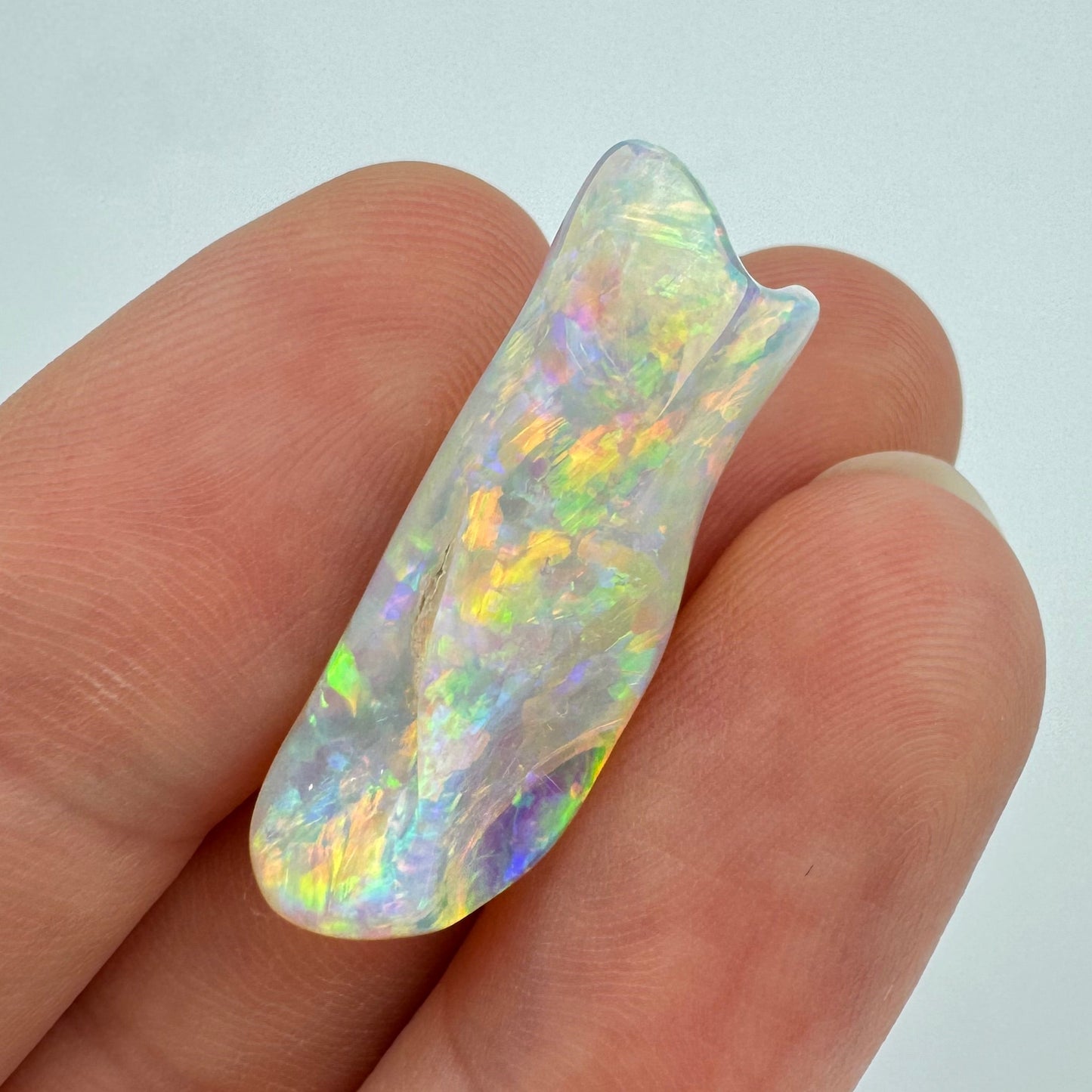 14.7ct Belemnite Fossil Crystal Opal