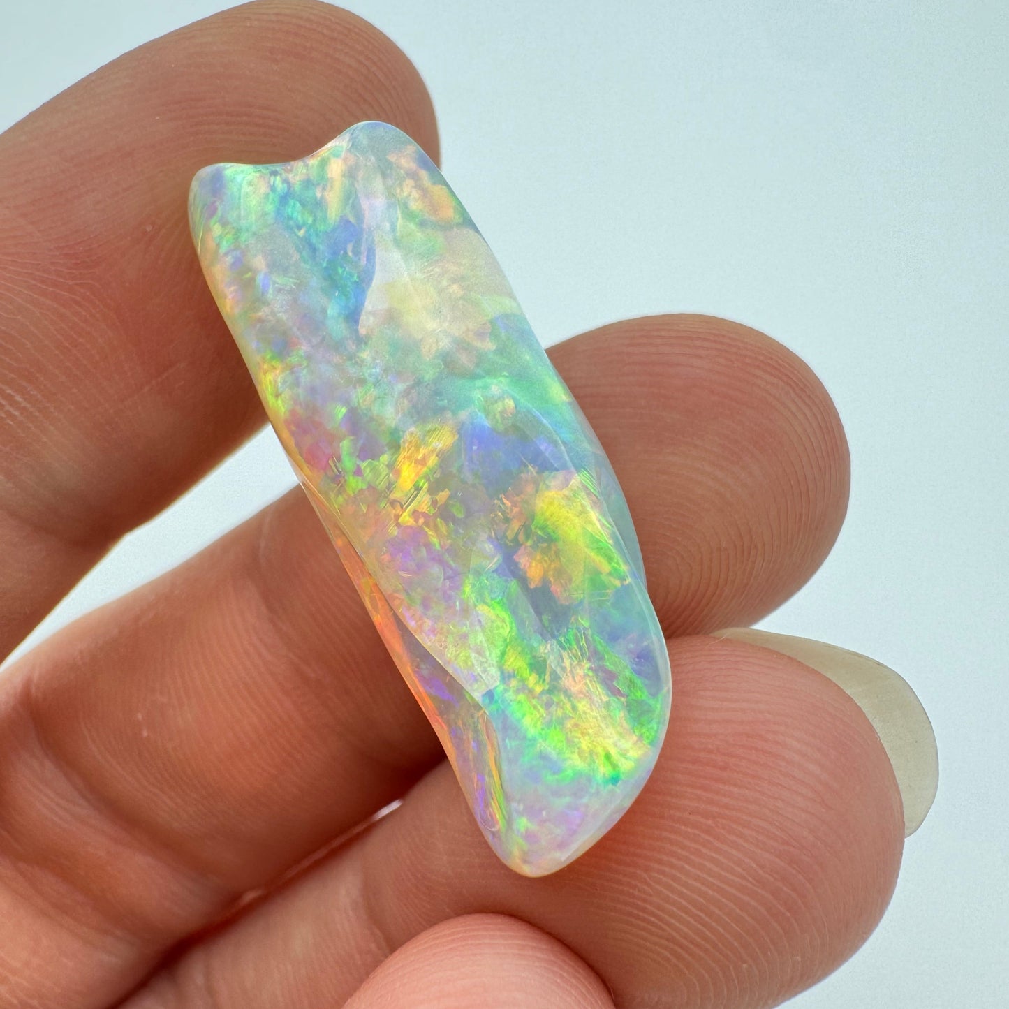 14.7ct Belemnite Fossil Crystal Opal