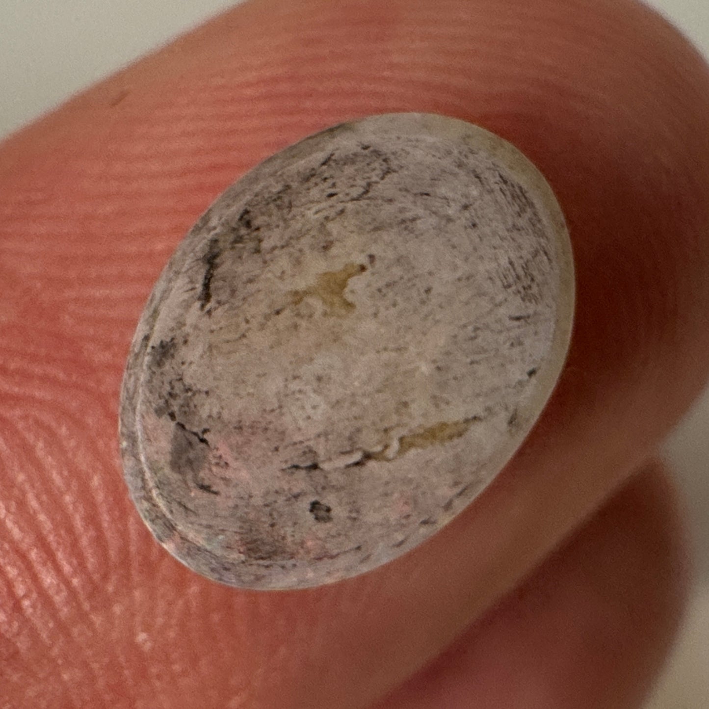 1.3ct Coober Pedy Oval Opal