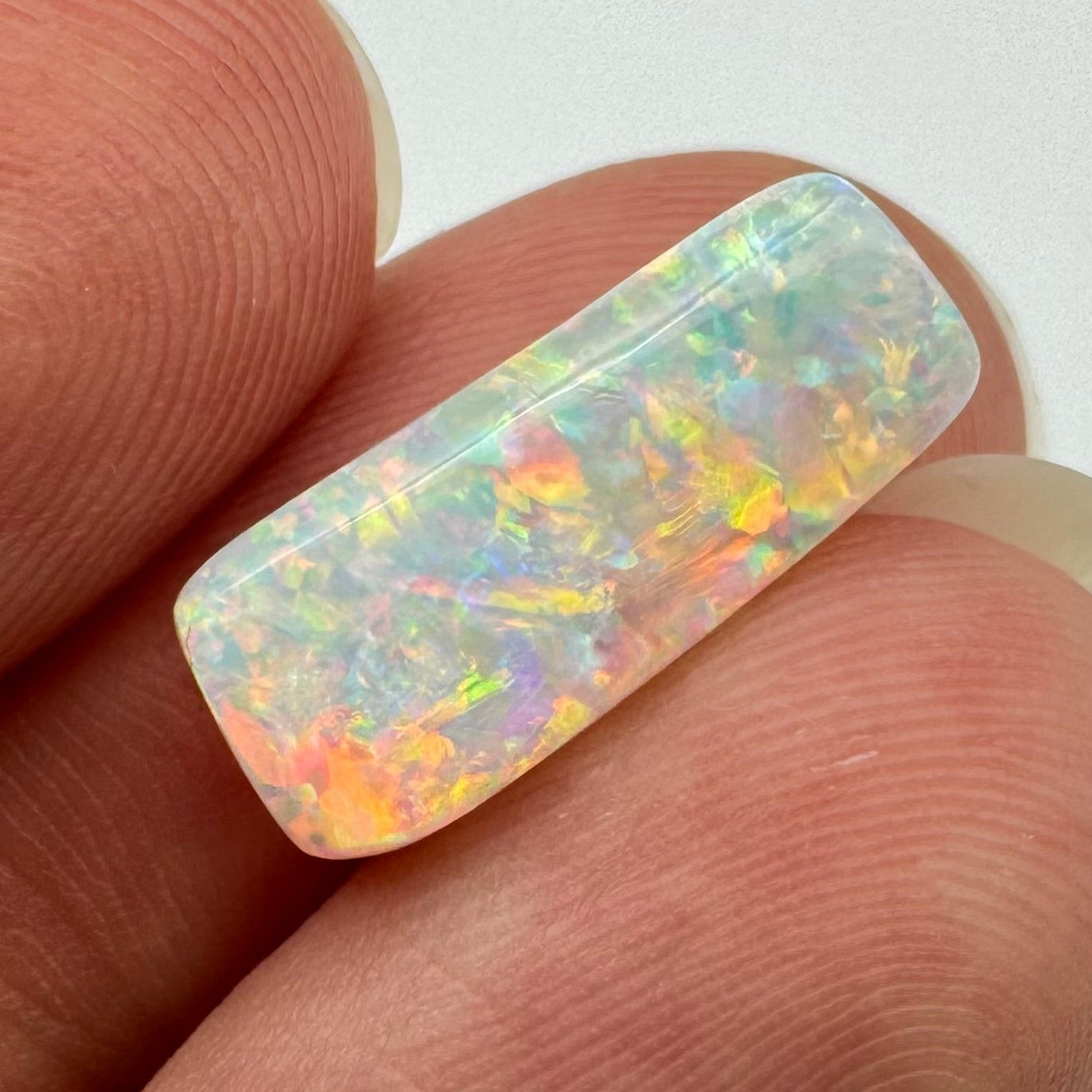5.4ct Belemnite Fossil Opal