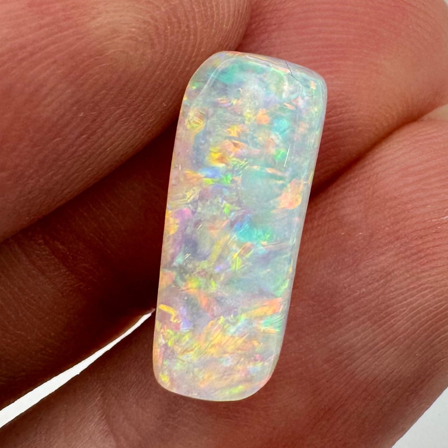 5.4ct Belemnite Fossil Opal