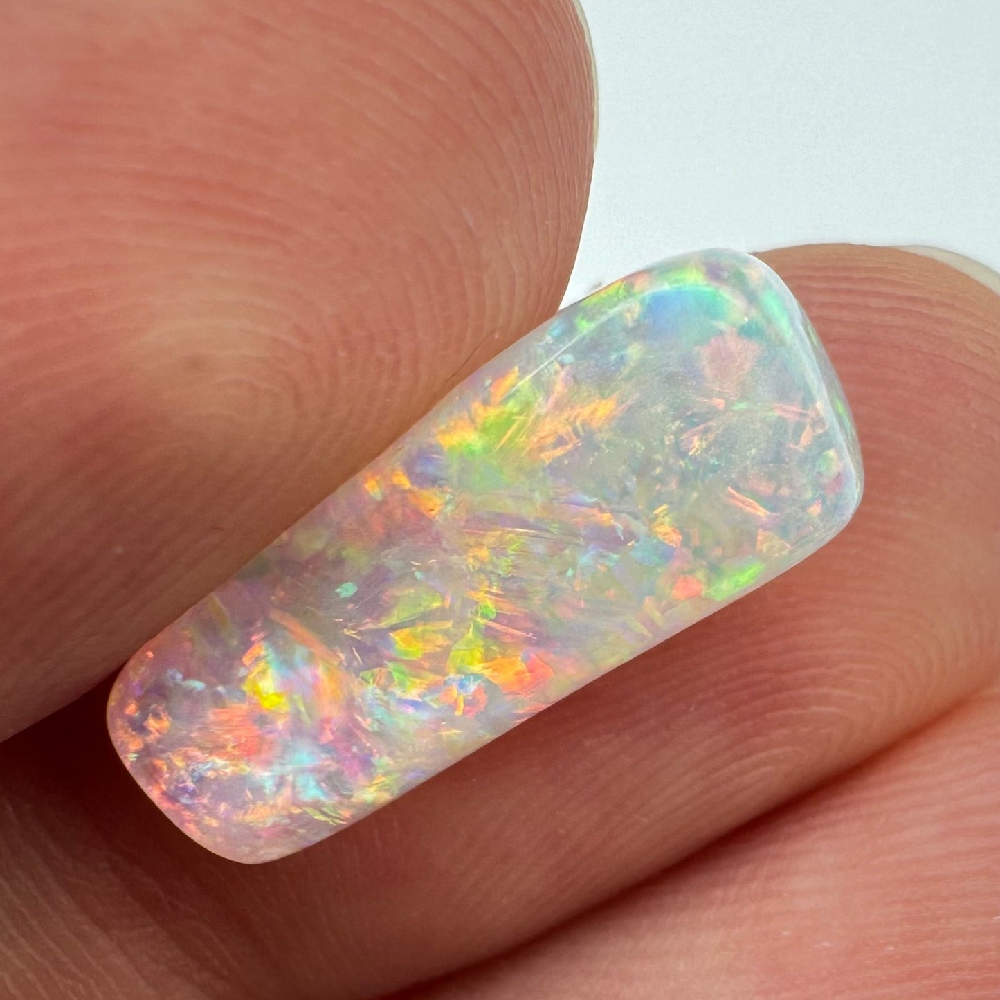5.4ct Belemnite Fossil Opal