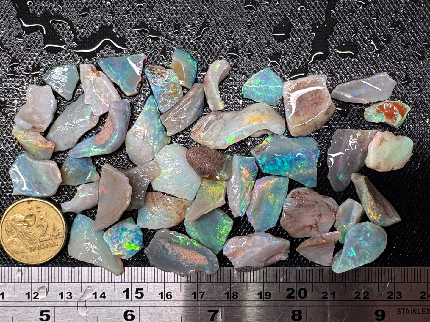 1ozt (155ct) Coober Pedy Rough Opal/Skinshell Parcel - 15 Mile Field