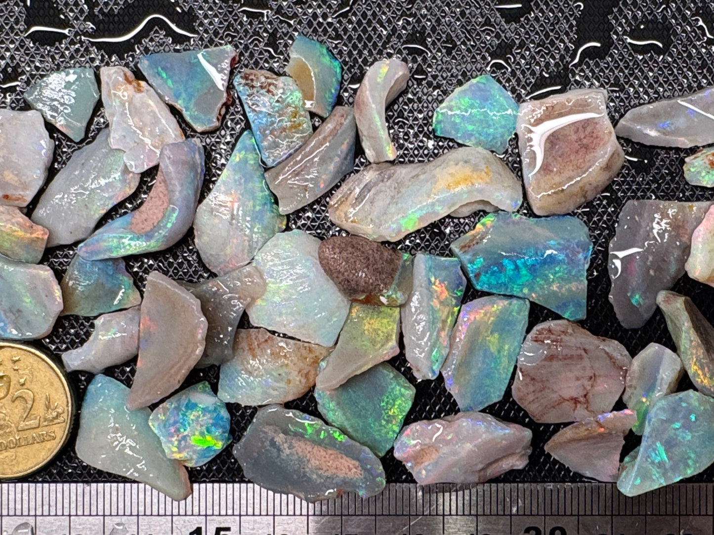 1ozt (155ct) Coober Pedy Rough Opal/Skinshell Parcel - 15 Mile Field
