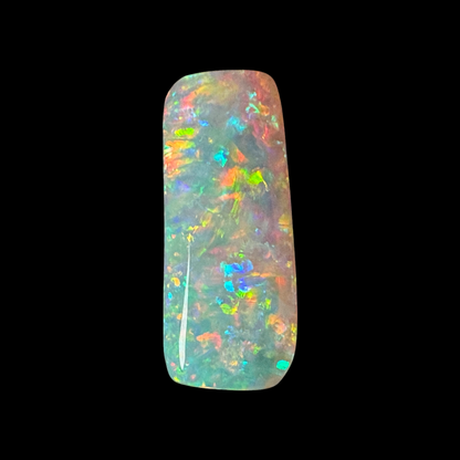5.4ct Belemnite Fossil Opal