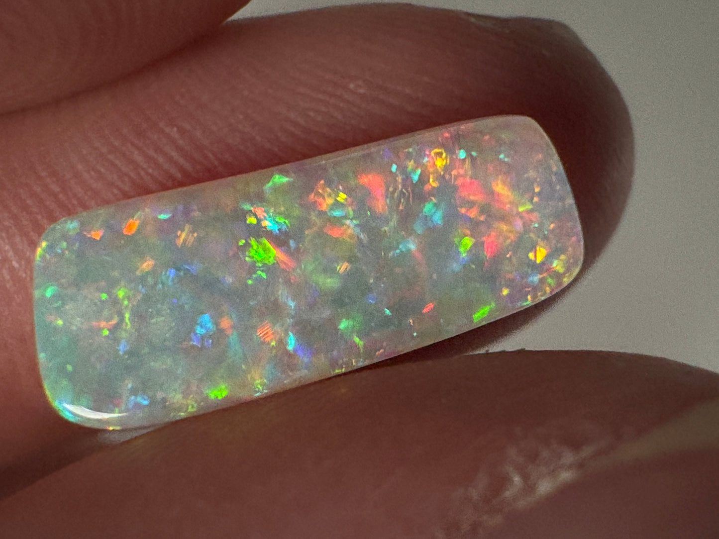 5.4ct Belemnite Fossil Opal