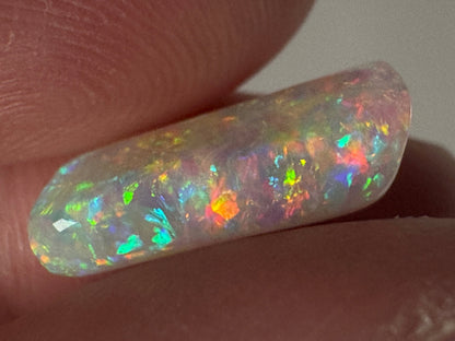 5.4ct Belemnite Fossil Opal