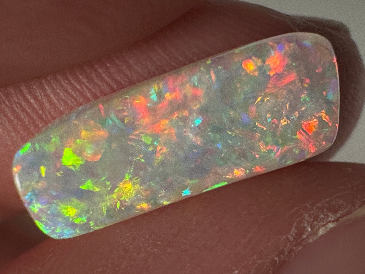 5.4ct Belemnite Fossil Opal