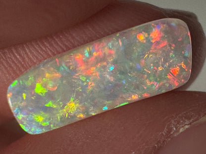 5.4ct Belemnite Fossil Opal