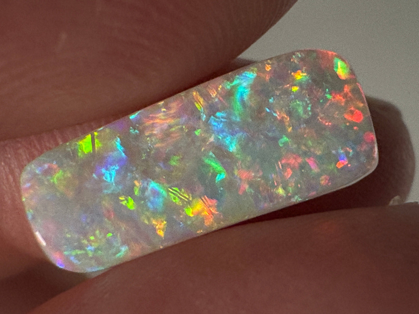 5.4ct Belemnite Fossil Opal