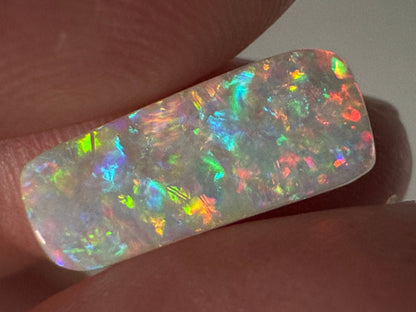 5.4ct Belemnite Fossil Opal