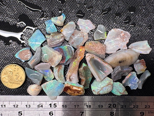 1ozt (155ct) Coober Pedy Rough Opal/Skinshell Parcel - 15 Mile Field