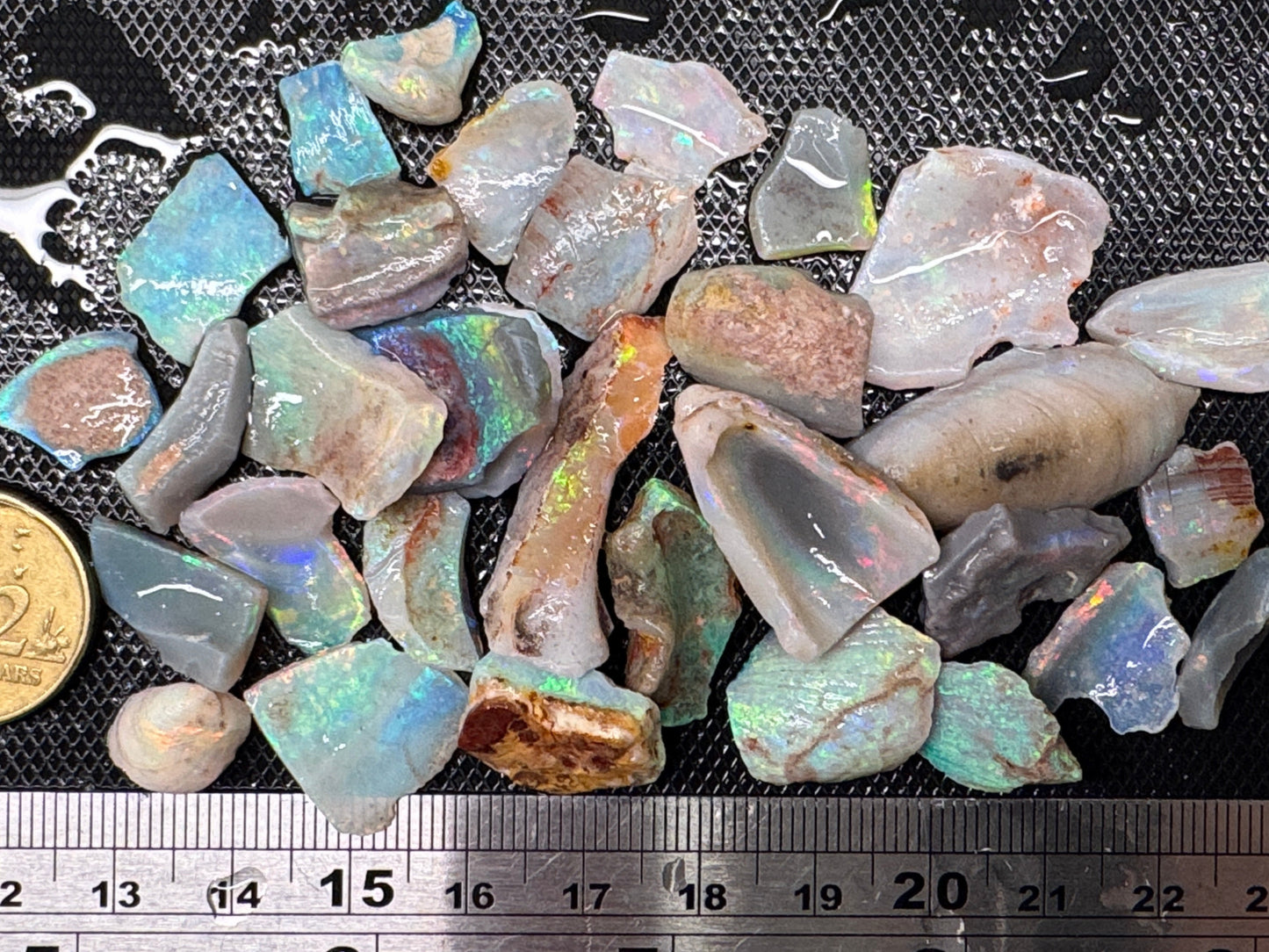 1ozt (155ct) Coober Pedy Rough Opal/Skinshell Parcel - 15 Mile Field