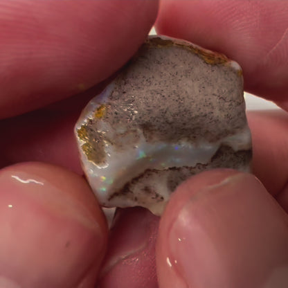 1ozt (155ct) Coober Pedy Rough Opal/Skinshell Parcel - 14 Mile Field