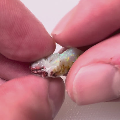 18ctw Coober Pedy Rough Opal