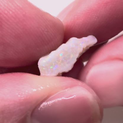 23ctw Coober Pedy Rough Opal