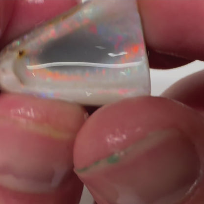 1ozt (155ct) Coober Pedy Rough Opal/Skinshell Parcel - 15 Mile Field