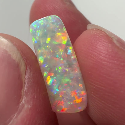 5.4ct Belemnite Fossil Opal