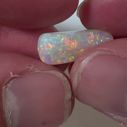 5.4ct Belemnite Fossil Opal