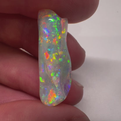 14.7ct Belemnite Fossil Crystal Opal
